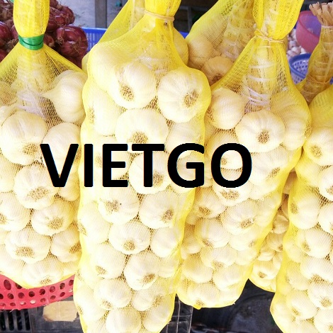 Tỏi tươi Vietgo